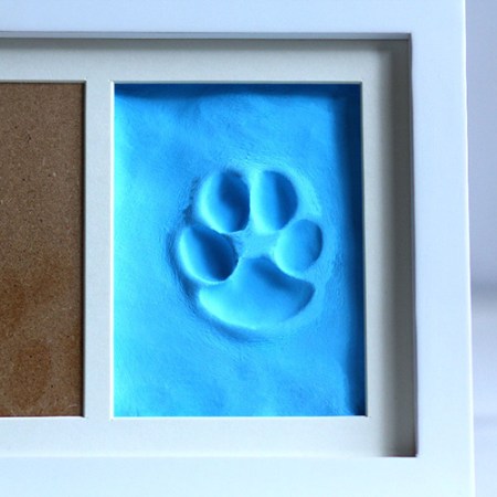 paw print kit