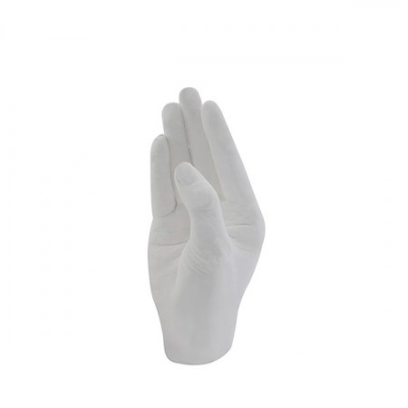 hand plaster kit